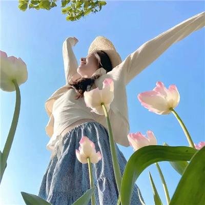 南港邮轮停靠日